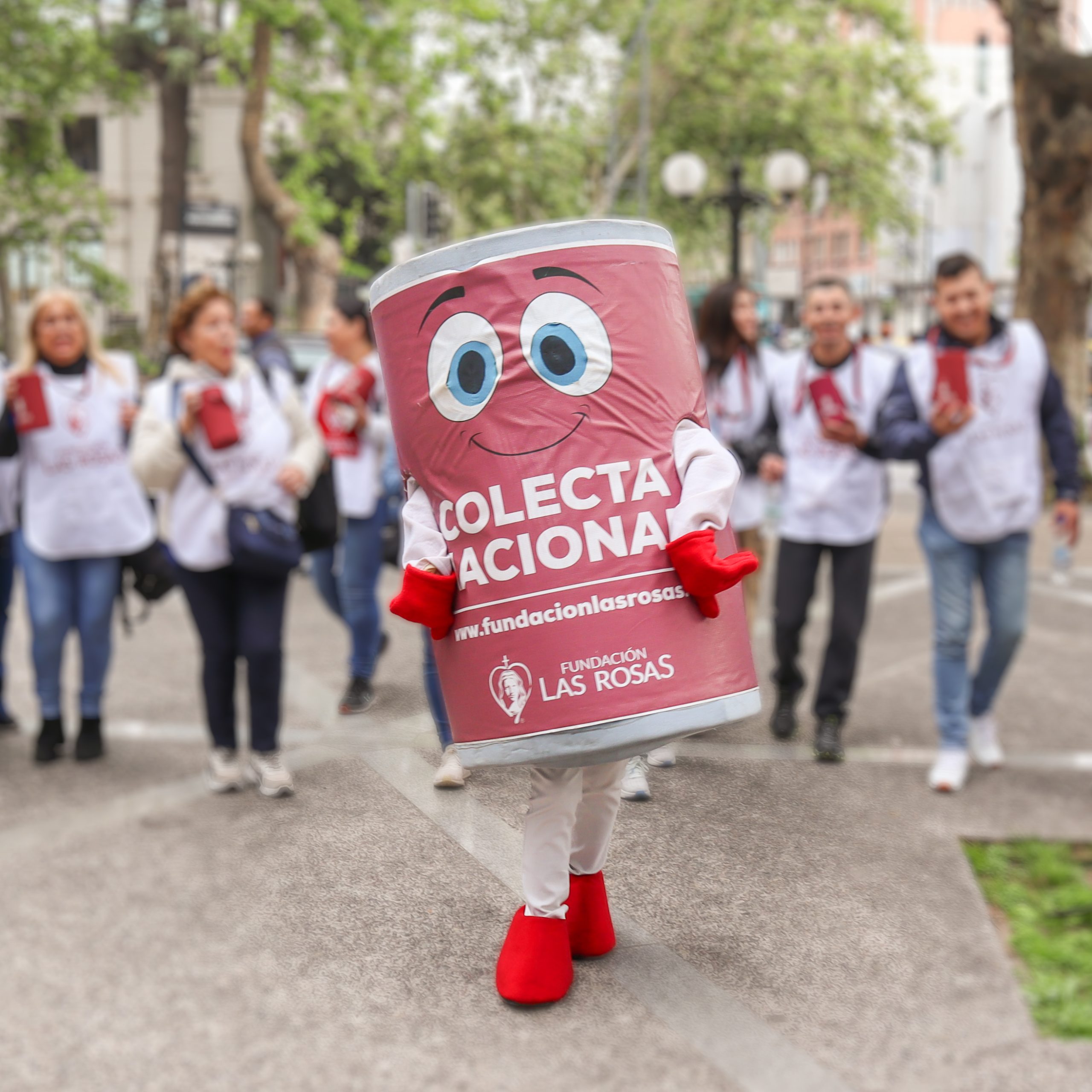 Voluntarios participando en la Colecta Nacional de Fundación Las Rosas.