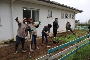 beneficios donaciones